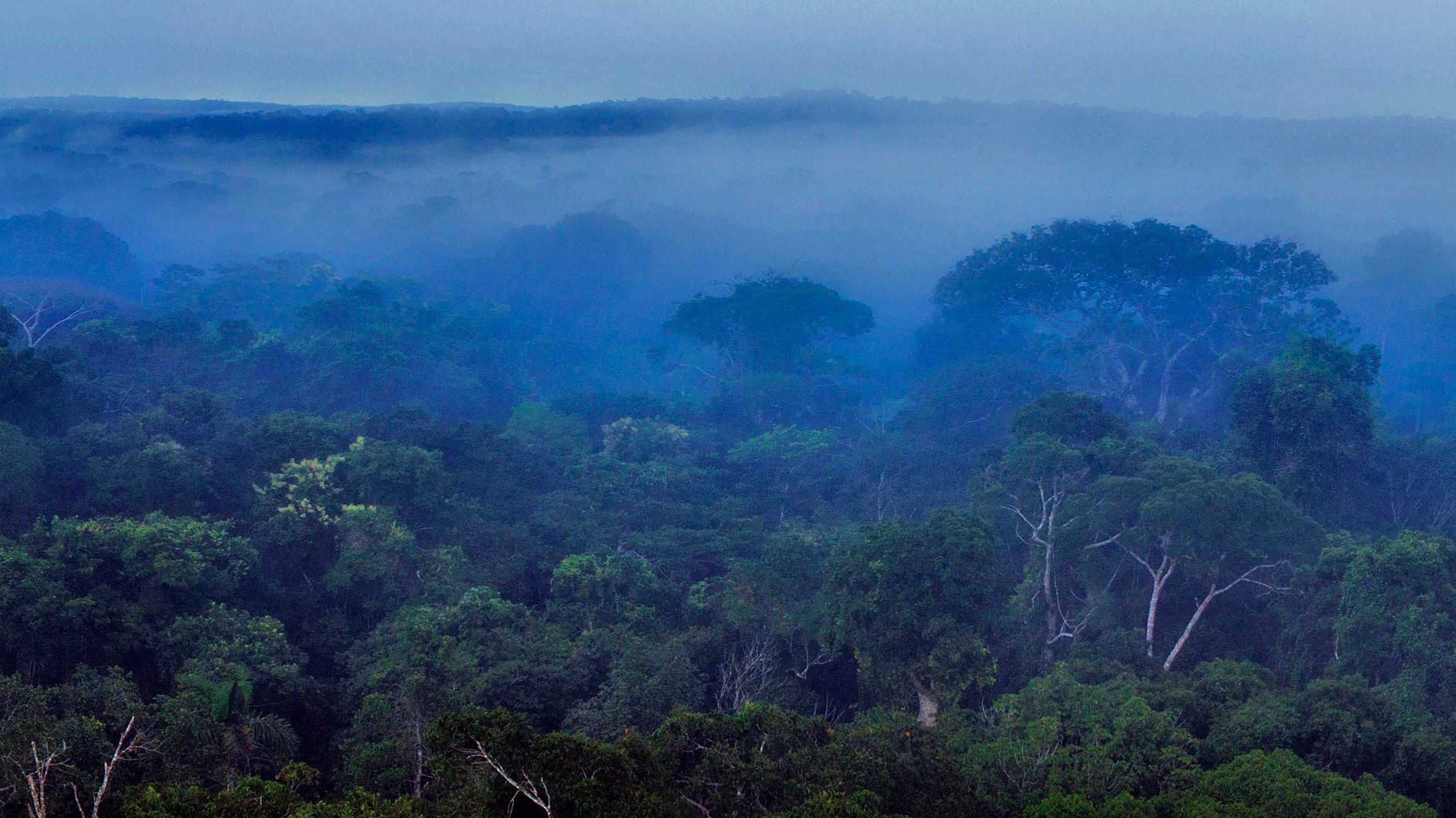 Brazilian Environmental Legislation Brazilian NR